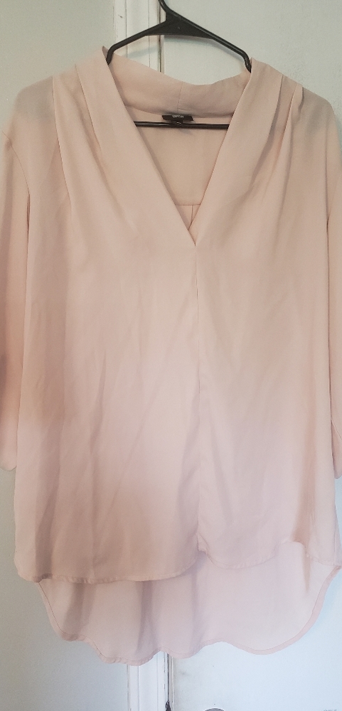 NWOT Sheer blush blouse